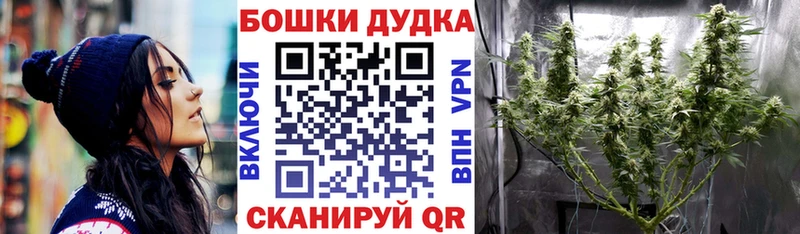 Магазины продажи наркотиков Новокузнецк Гашиш  Cocaine  Alpha PVP  Псилоцибиновые грибы  Меф 