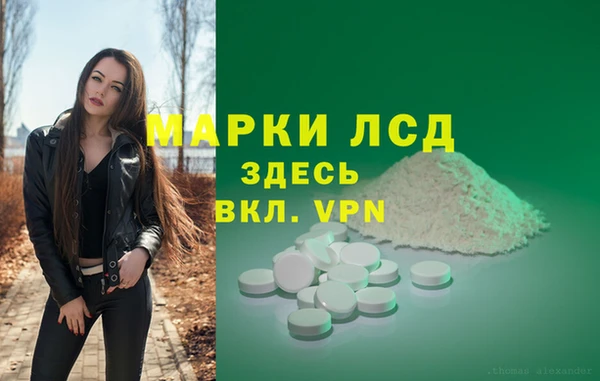 прущие грибы Абдулино
