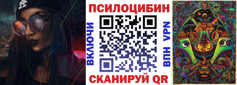 Псилоцибиновые грибы ЛСД  omg зеркало  Новокузнецк 